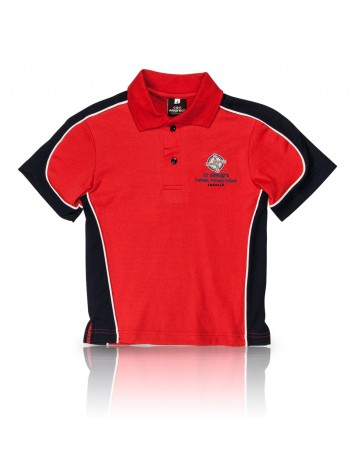 St Brigid's Polo