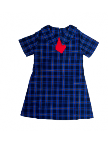 Summer Tunic - STJC