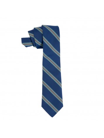 School Straight Tie - STJC