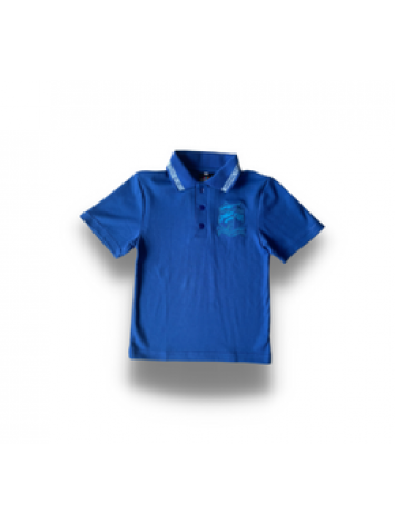 Polo - HSS
