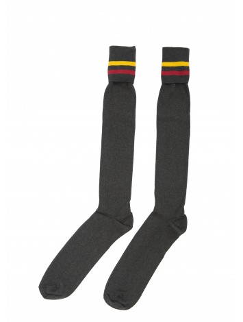 Boys Knee Hi Sock  MSSC