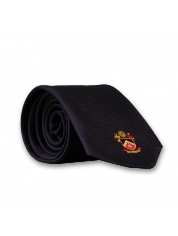 Boys Tie Shalom