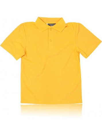 Gold House Polo  All Saints