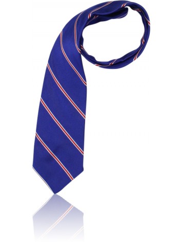 Jnr Girls Striped Tie ASHS