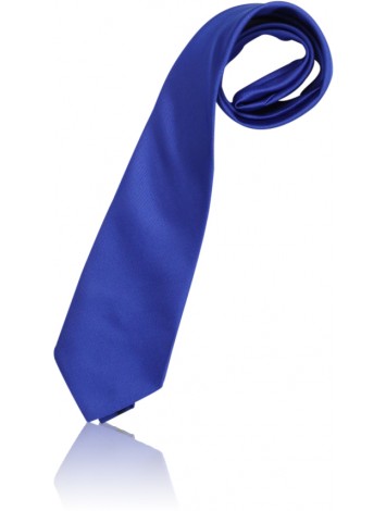 Senior Tie ASHS