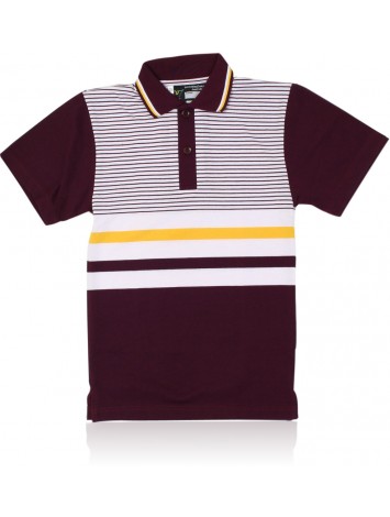 Polo SDSHS