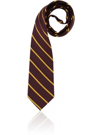 Formal Snr Boys Tie  SDSHS