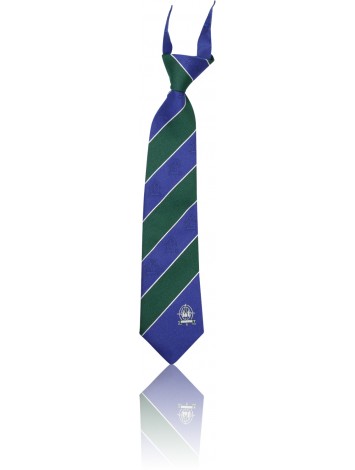 The Cathedral College Girls Senior Tie