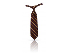 Formal Snr Girls Tie  SDSHS