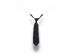 Senior Blouse Tie MCSHS