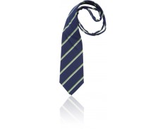 Tie Freshwater College