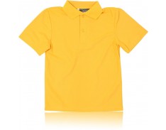 Gold House Polo  All Saints