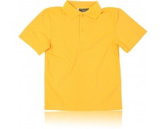 Gold House Polo  All Saints