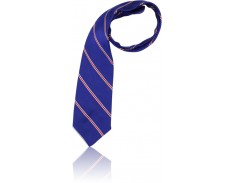 Jnr Girls Striped Tie ASHS