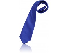 Senior Tie ASHS