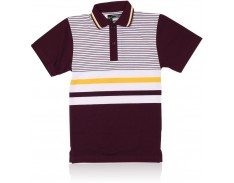 Polo SDSHS