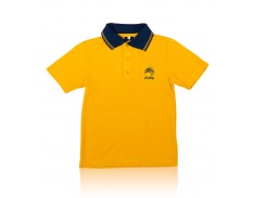 Gold House Polo CCPS